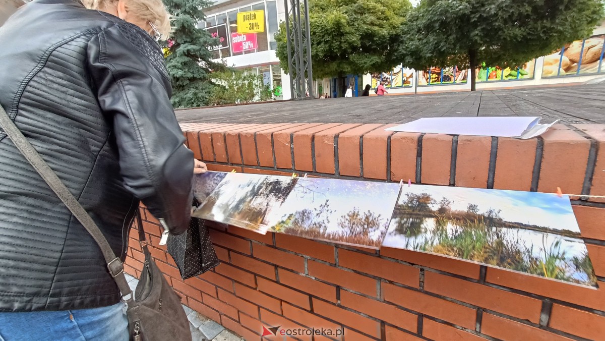 Akcja Zdjęcia do wzięcia na Placu Wolności w Ostrołęce [07.10.2023] - zdjęcie #12 - eOstroleka.pl