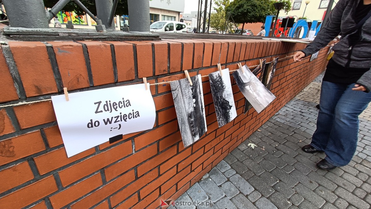 Akcja Zdjęcia do wzięcia na Placu Wolności w Ostrołęce [07.10.2023] - zdjęcie #11 - eOstroleka.pl