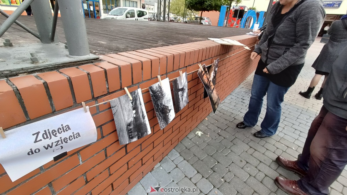 Akcja Zdjęcia do wzięcia na Placu Wolności w Ostrołęce [07.10.2023] - zdjęcie #9 - eOstroleka.pl