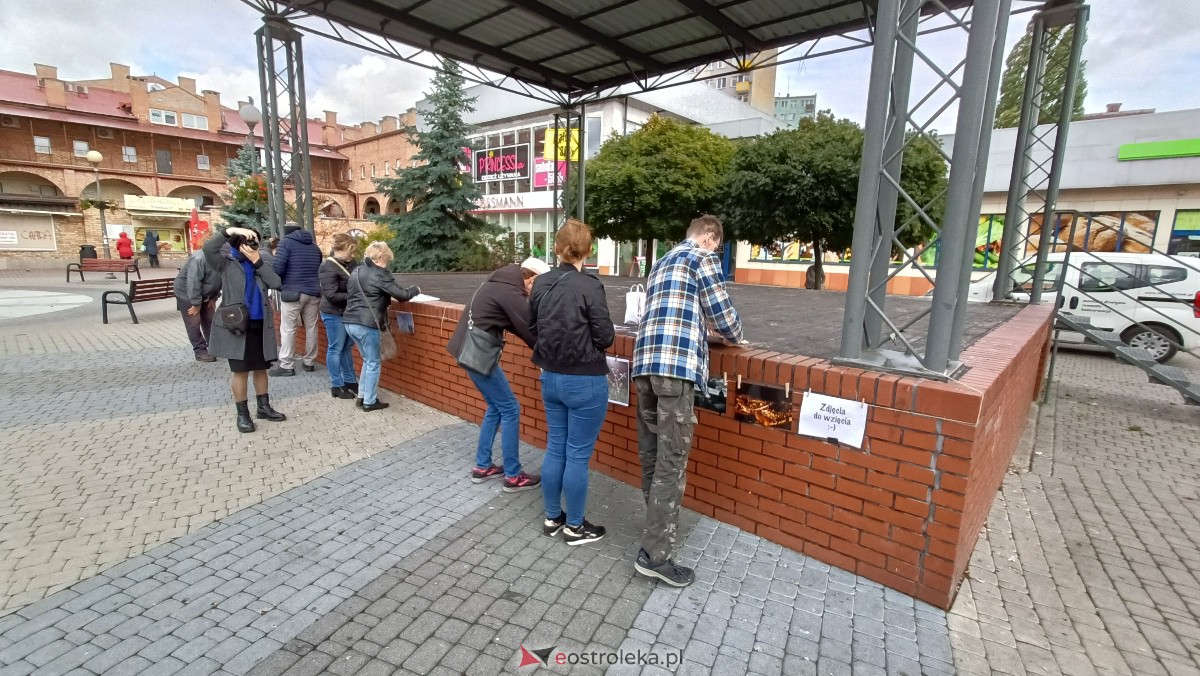 Akcja Zdjęcia do wzięcia na Placu Wolności w Ostrołęce [07.10.2023] - zdjęcie #8 - eOstroleka.pl