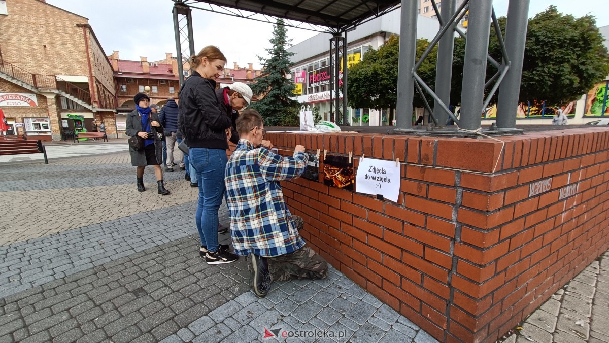 Akcja Zdjęcia do wzięcia na Placu Wolności w Ostrołęce [07.10.2023] - zdjęcie #5 - eOstroleka.pl