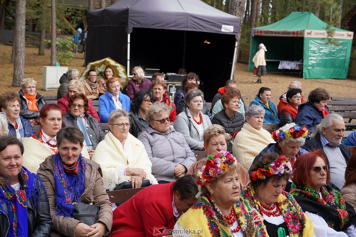 36. Regionalny Przegląd Zespołów Artystycznych KGW Pejzaż muzyką malowany [07.10.2023] - zdjęcie #70 - eOstroleka.pl