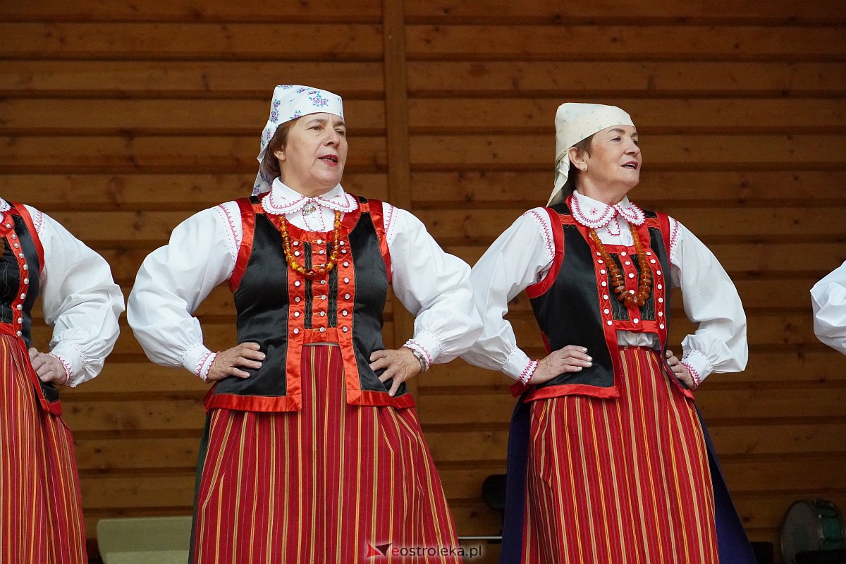 36. Regionalny Przegląd Zespołów Artystycznych KGW Pejzaż muzyką malowany [07.10.2023] - zdjęcie #9 - eOstroleka.pl