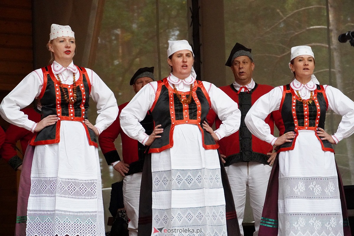 36. Regionalny Przegląd Zespołów Artystycznych KGW Pejzaż muzyką malowany [07.10.2023] - zdjęcie #7 - eOstroleka.pl