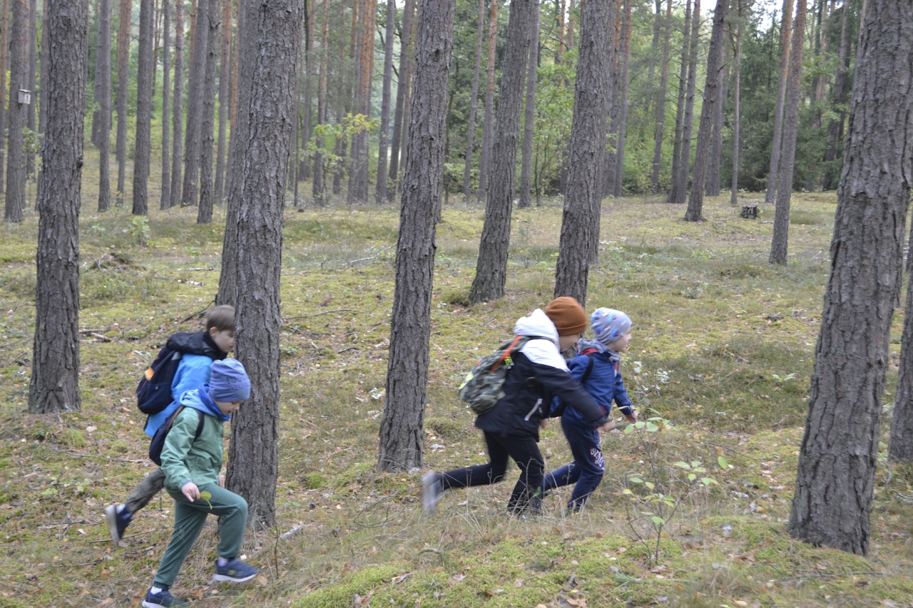 Leśna przygoda uczniów SP 10 [11.10.2023] - zdjęcie #5 - eOstroleka.pl