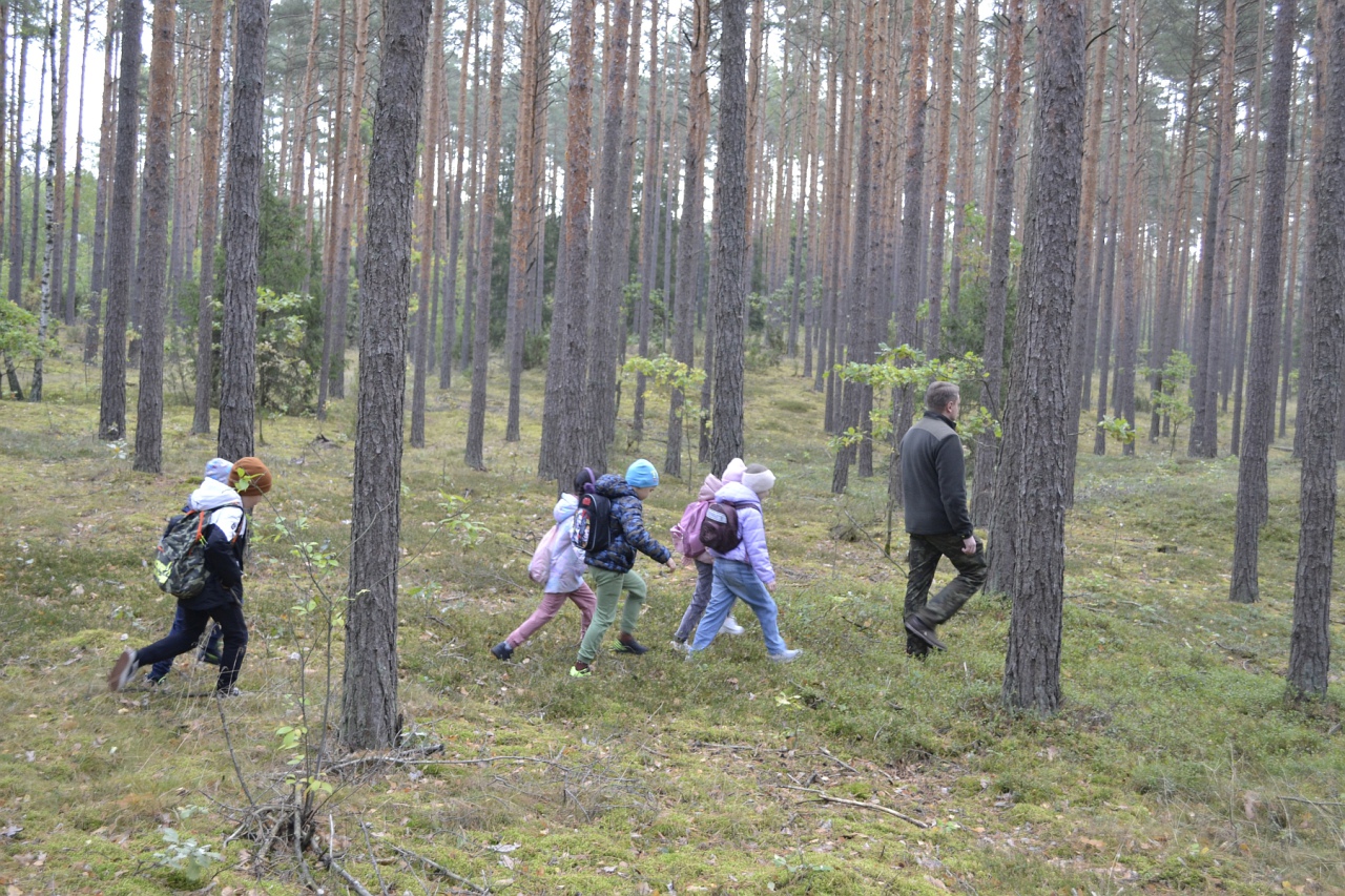 Leśna przygoda uczniów SP 10 [11.10.2023] - zdjęcie #6 - eOstroleka.pl