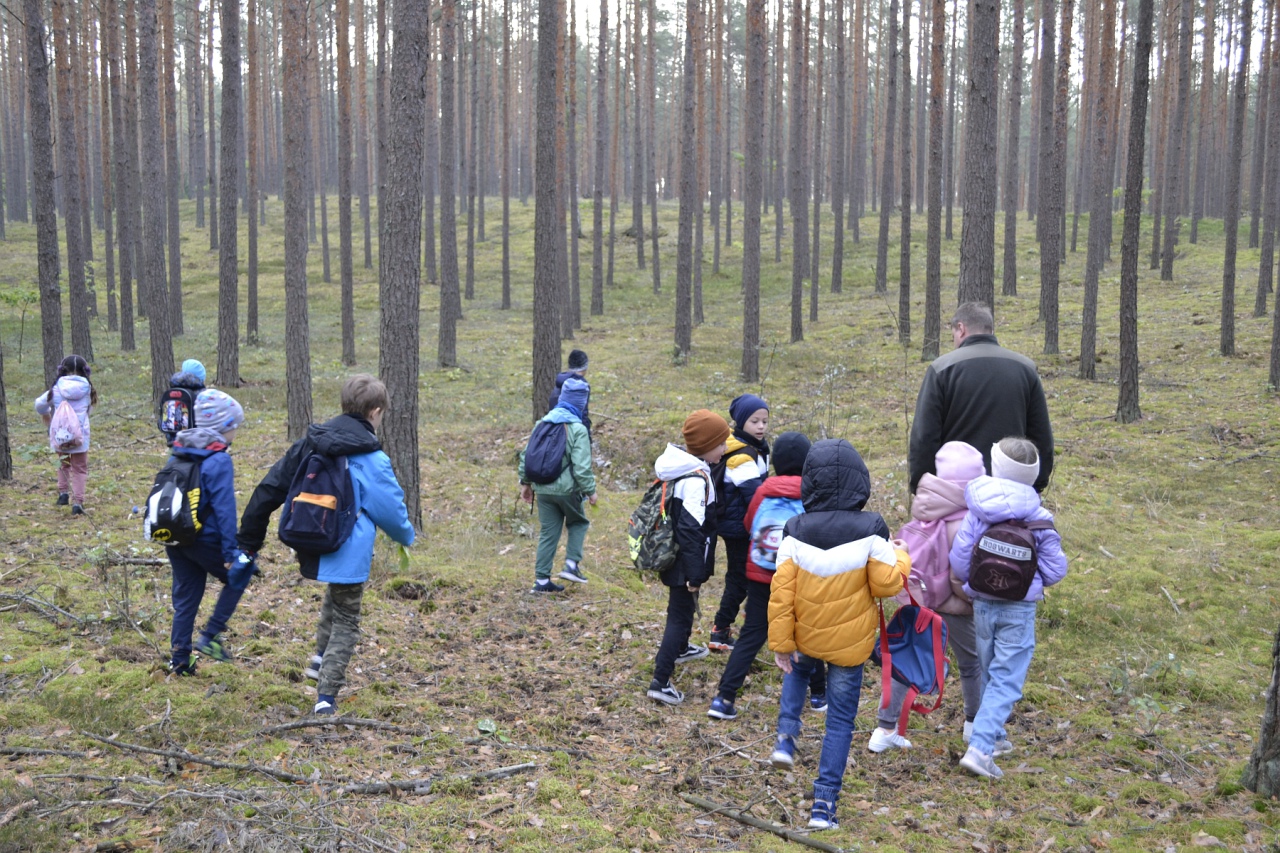 Leśna przygoda uczniów SP 10 [11.10.2023] - zdjęcie #7 - eOstroleka.pl
