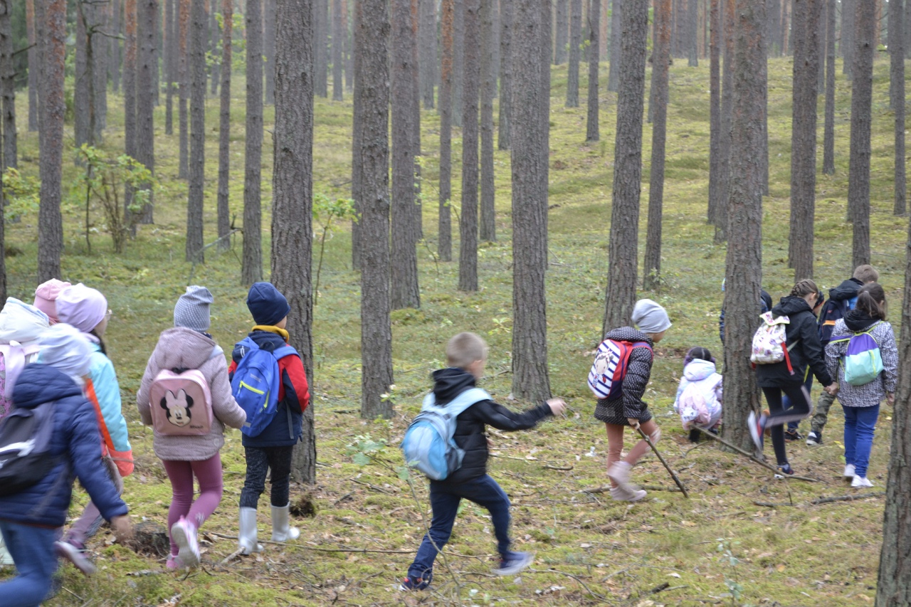 Leśna przygoda uczniów SP 10 [11.10.2023] - zdjęcie #8 - eOstroleka.pl