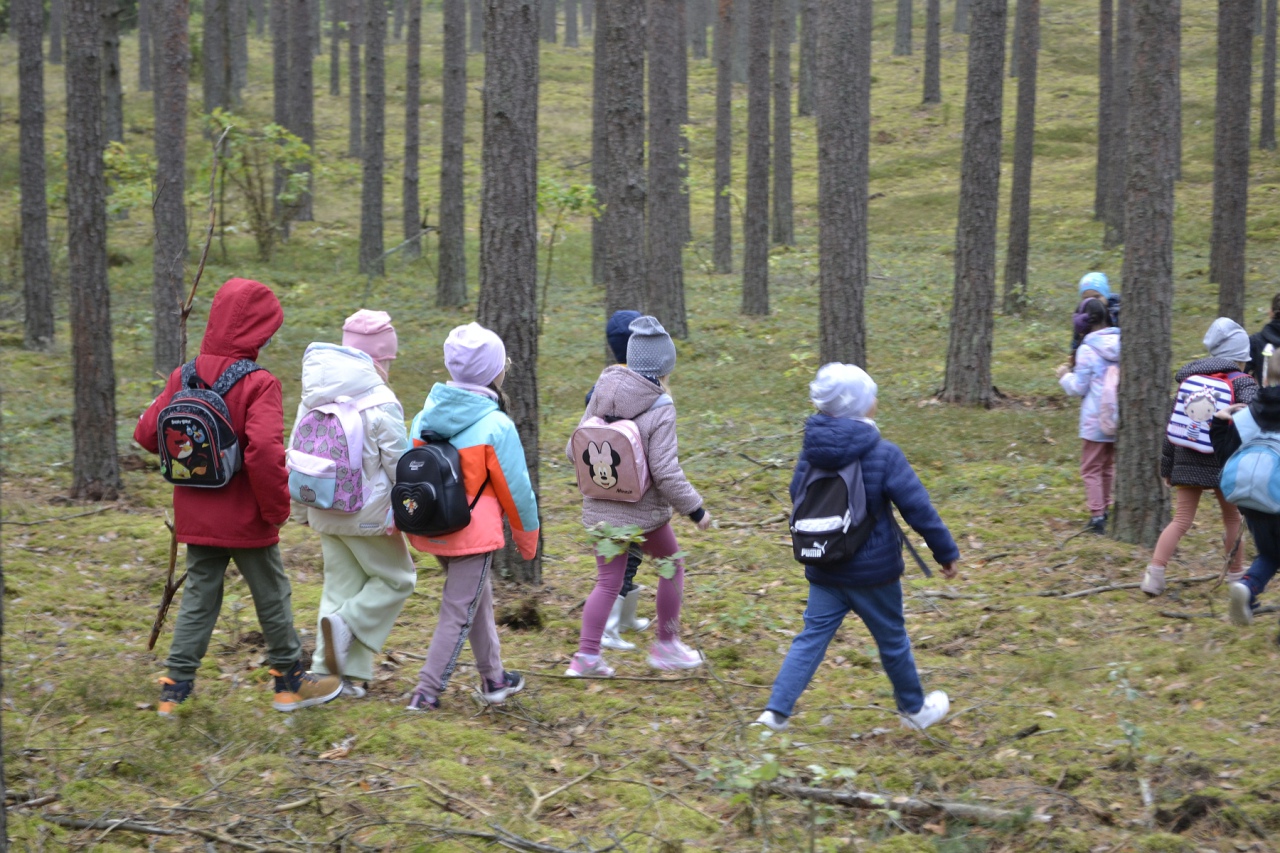 Leśna przygoda uczniów SP 10 [11.10.2023] - zdjęcie #9 - eOstroleka.pl