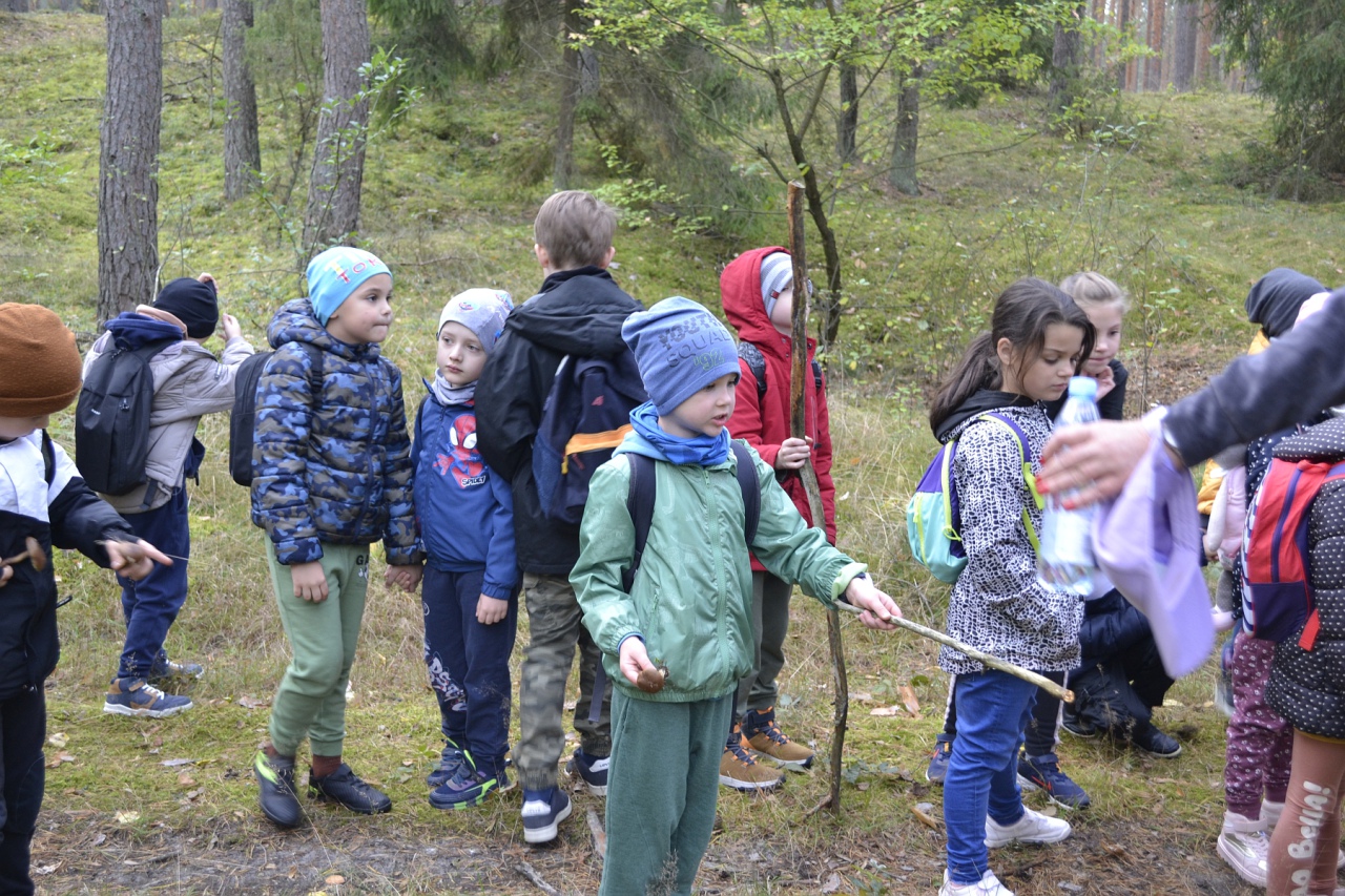 Leśna przygoda uczniów SP 10 [11.10.2023] - zdjęcie #10 - eOstroleka.pl