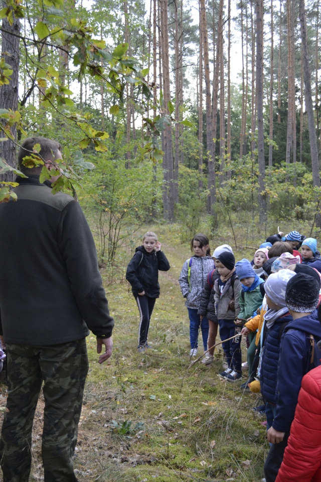 Leśna przygoda uczniów SP 10 [11.10.2023] - zdjęcie #11 - eOstroleka.pl
