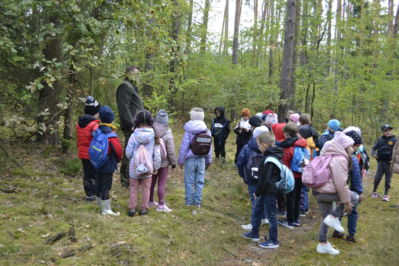 Leśna przygoda uczniów SP 10 [11.10.2023] - zdjęcie #13 - eOstroleka.pl