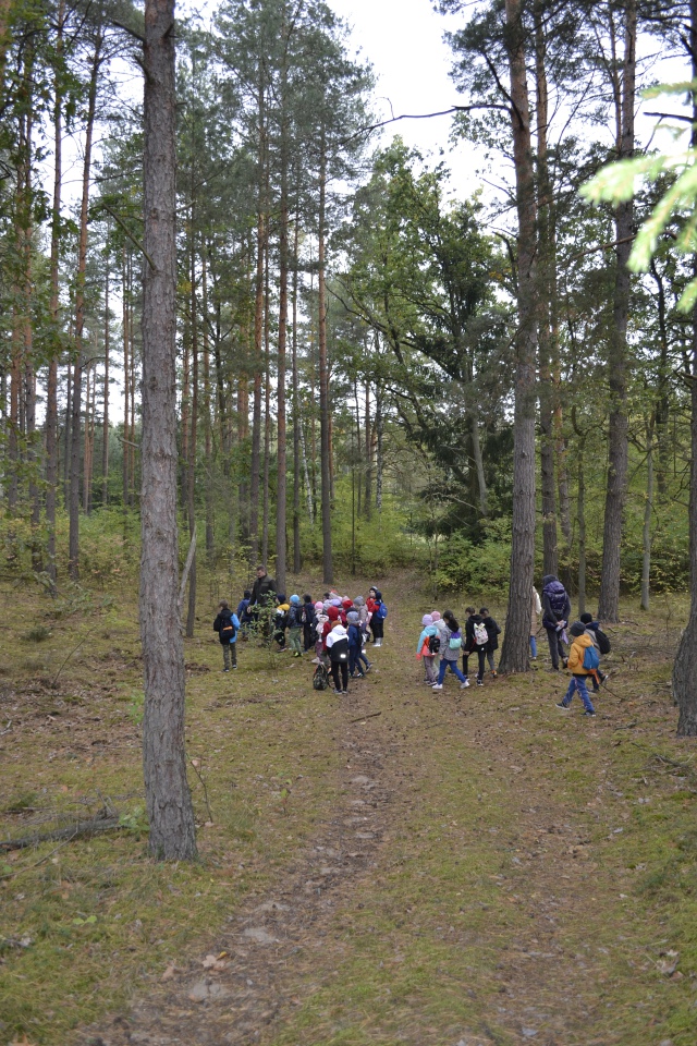 Leśna przygoda uczniów SP 10 [11.10.2023] - zdjęcie #15 - eOstroleka.pl