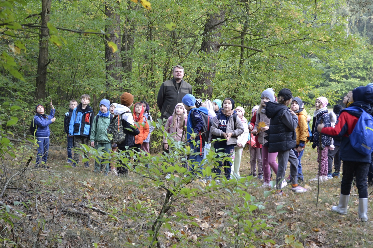 Leśna przygoda uczniów SP 10 [11.10.2023] - zdjęcie #17 - eOstroleka.pl