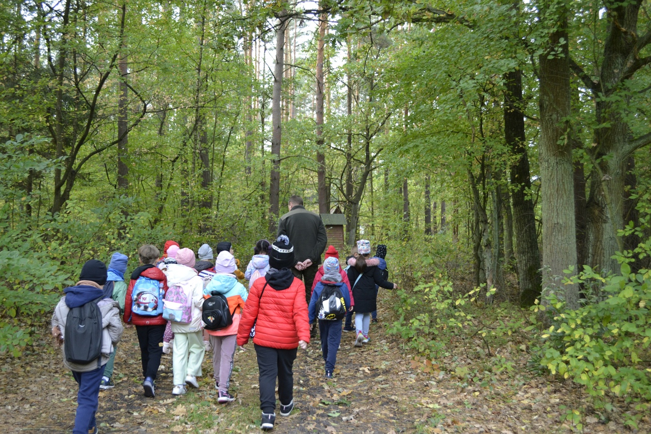 Leśna przygoda uczniów SP 10 [11.10.2023] - zdjęcie #21 - eOstroleka.pl