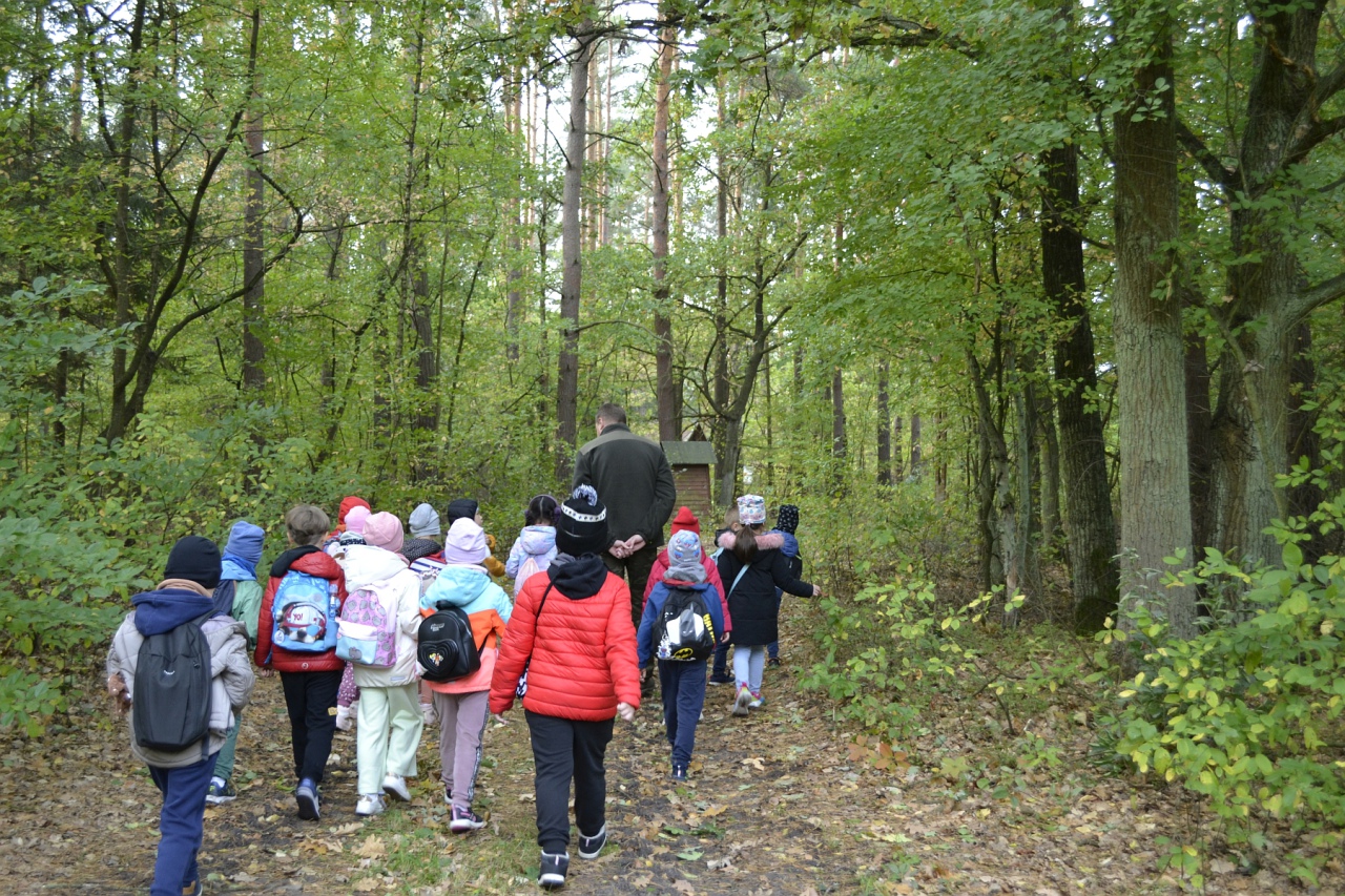 Leśna przygoda uczniów SP 10 [11.10.2023] - zdjęcie #35 - eOstroleka.pl