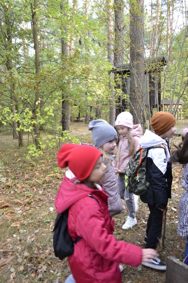Leśna przygoda uczniów SP 10 [11.10.2023] - zdjęcie #26 - eOstroleka.pl