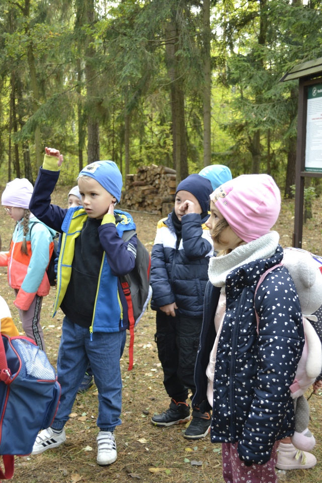 Leśna przygoda uczniów SP 10 [11.10.2023] - zdjęcie #27 - eOstroleka.pl