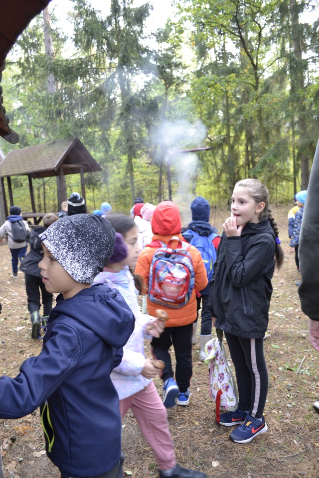 Leśna przygoda uczniów SP 10 [11.10.2023] - zdjęcie #29 - eOstroleka.pl