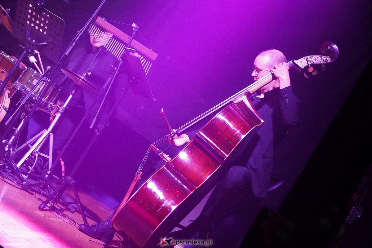 Dzień Nauczyciela w Ostrołęce. Wyróżnienia i koncert Najpiękniejsze melodie świata[16.10.2023] - zdjęcie #8 - eOstroleka.pl