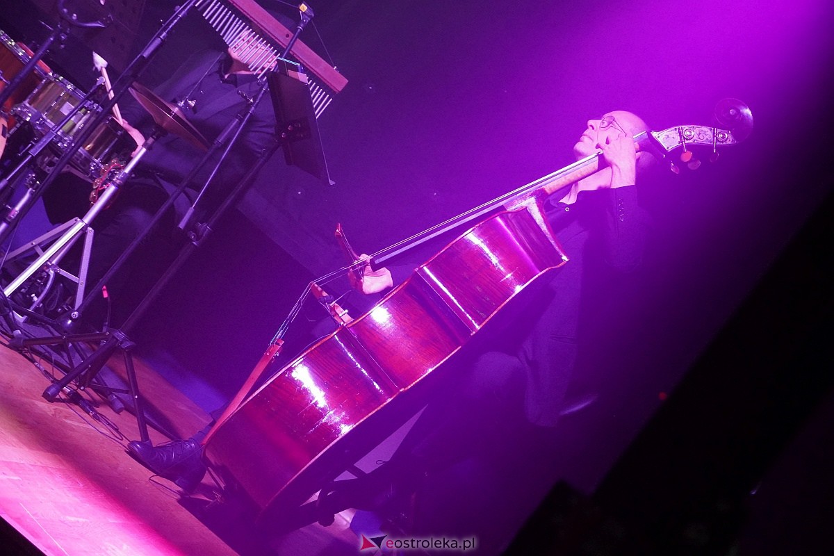 Dzień Nauczyciela w Ostrołęce. Wyróżnienia i koncert Najpiękniejsze melodie świata[16.10.2023] - zdjęcie #7 - eOstroleka.pl