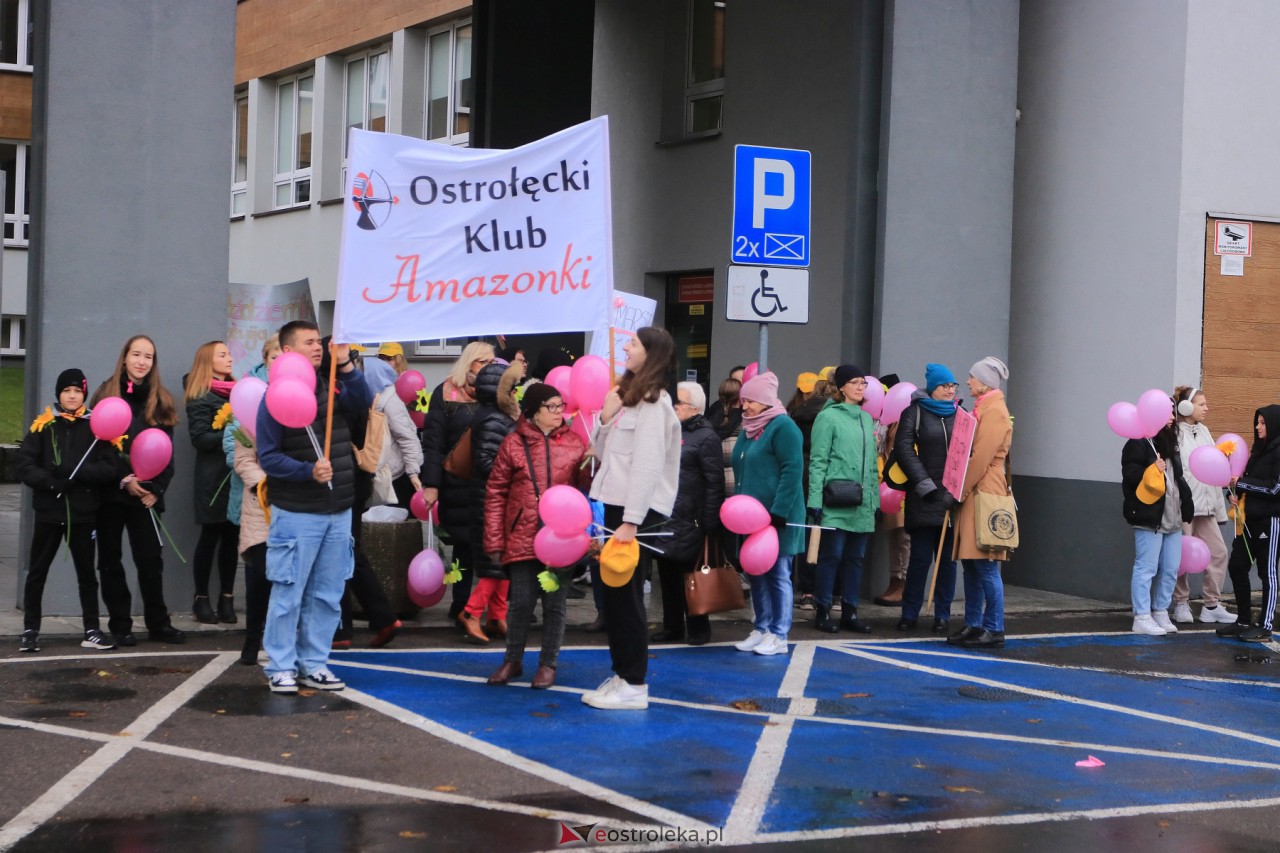 Marsz Różowej Wstążki Ostrołęka 2023 [21.10.2023] - zdjęcie #41 - eOstroleka.pl