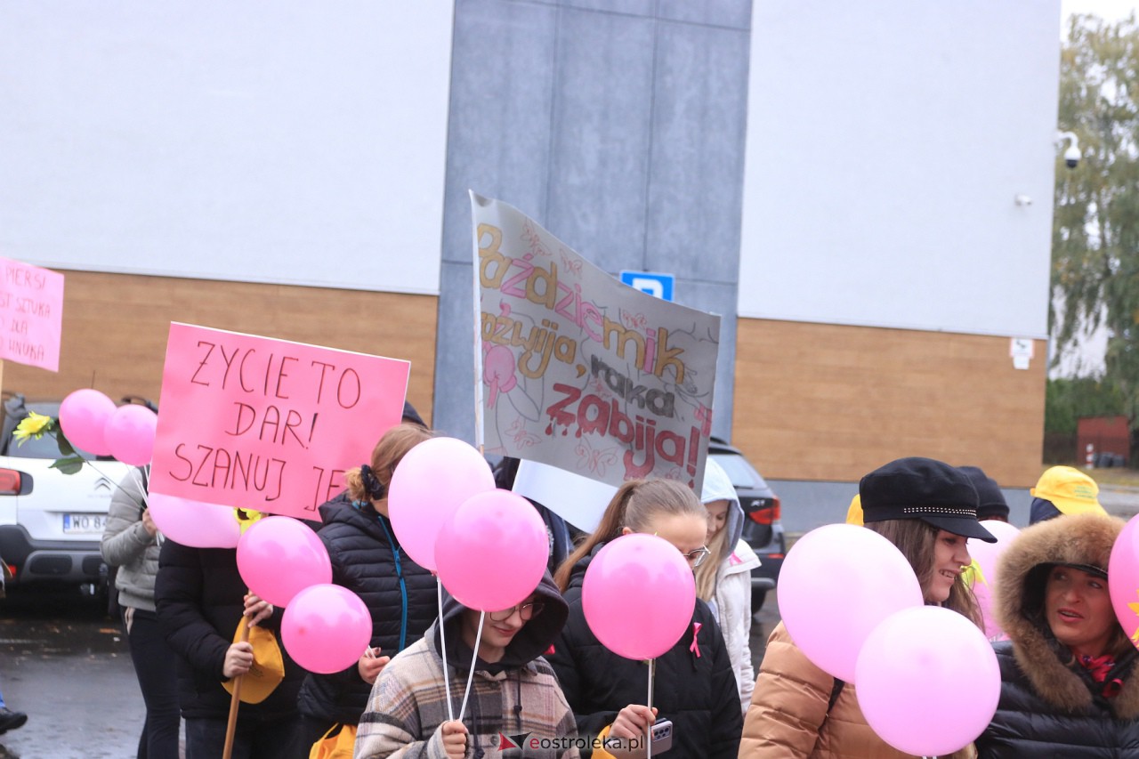 Marsz Różowej Wstążki Ostrołęka 2023 [21.10.2023] - zdjęcie #15 - eOstroleka.pl