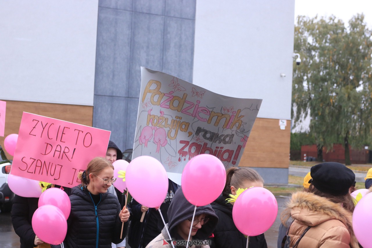 Marsz Różowej Wstążki Ostrołęka 2023 [21.10.2023] - zdjęcie #16 - eOstroleka.pl