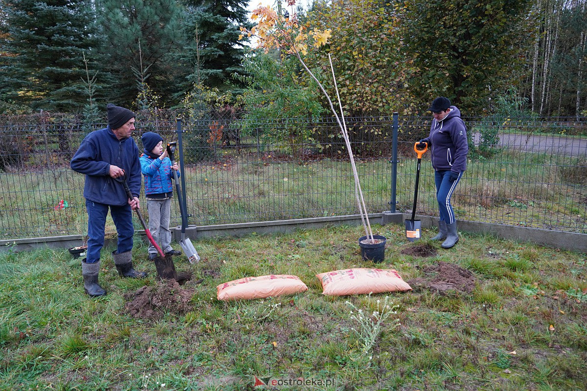 Wspólne sadzenie drzewek i krzewów w Szkwie [21.10.2023] - zdjęcie #6 - eOstroleka.pl