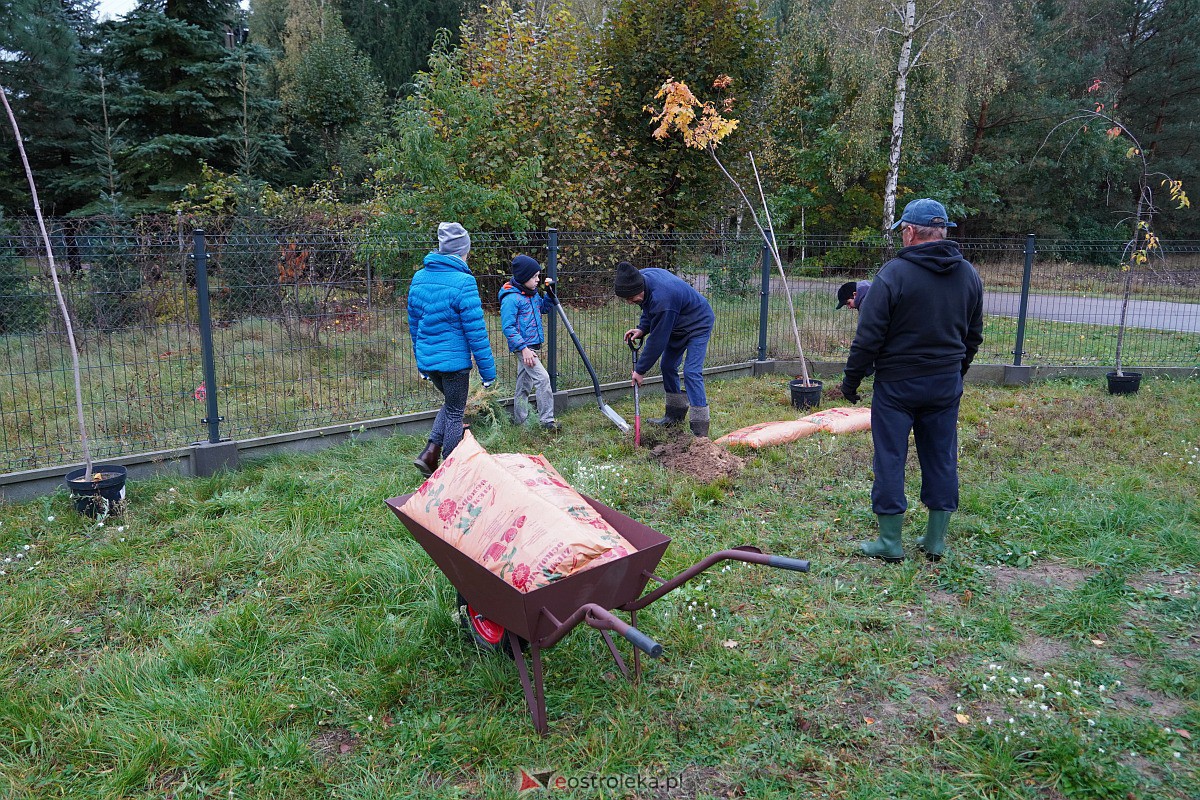 Wspólne sadzenie drzewek i krzewów w Szkwie [21.10.2023] - zdjęcie #21 - eOstroleka.pl