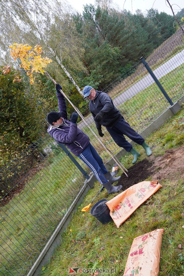 Wspólne sadzenie drzewek i krzewów w Szkwie [21.10.2023] - zdjęcie #11 - eOstroleka.pl