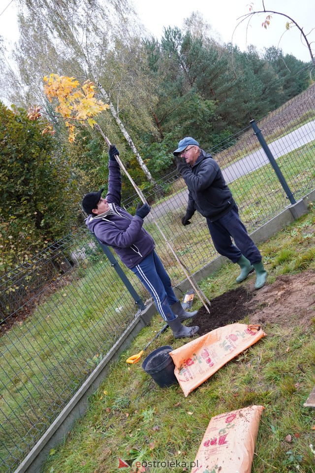 Wspólne sadzenie drzewek i krzewów w Szkwie [21.10.2023] - zdjęcie #12 - eOstroleka.pl
