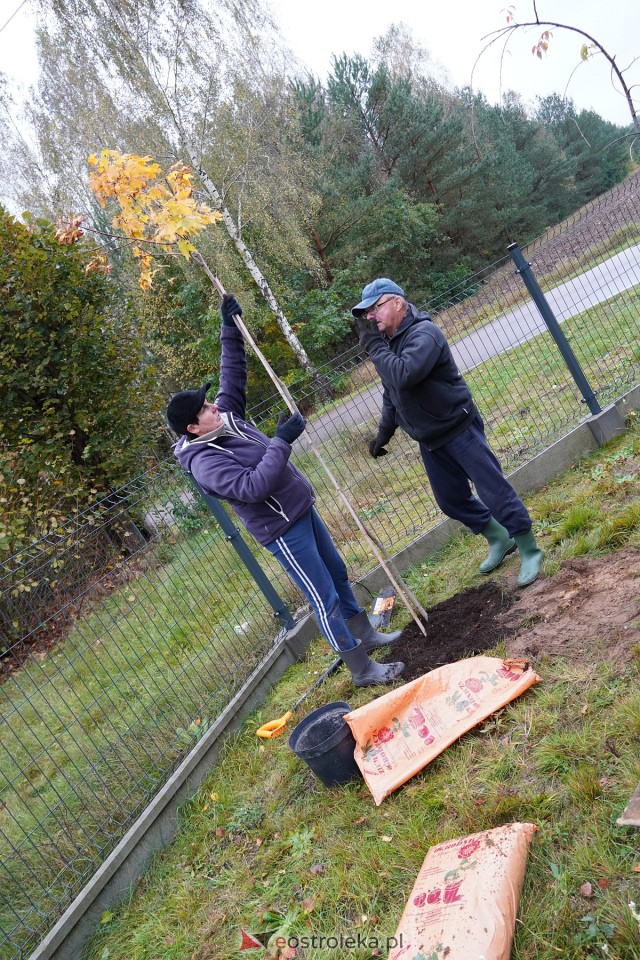 Wspólne sadzenie drzewek i krzewów w Szkwie [21.10.2023] - zdjęcie #17 - eOstroleka.pl