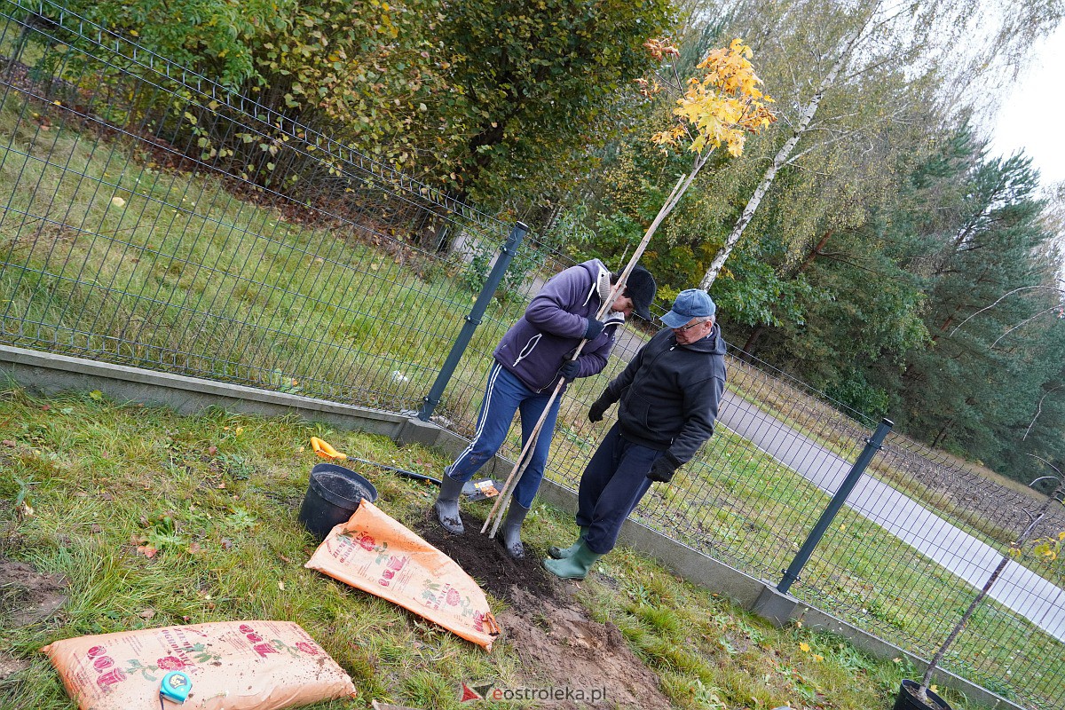 Wspólne sadzenie drzewek i krzewów w Szkwie [21.10.2023] - zdjęcie #15 - eOstroleka.pl