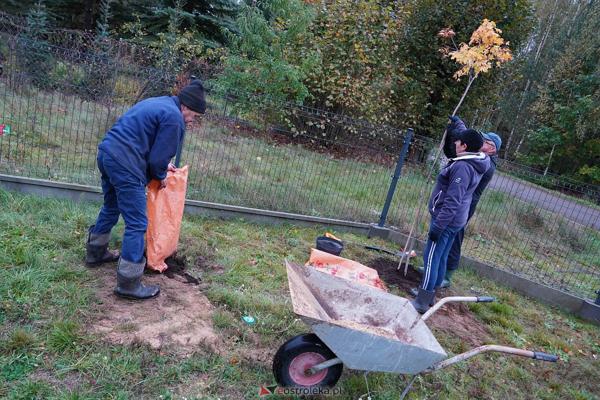 Wspólne sadzenie drzewek i krzewów w Szkwie [21.10.2023] - zdjęcie #10 - eOstroleka.pl