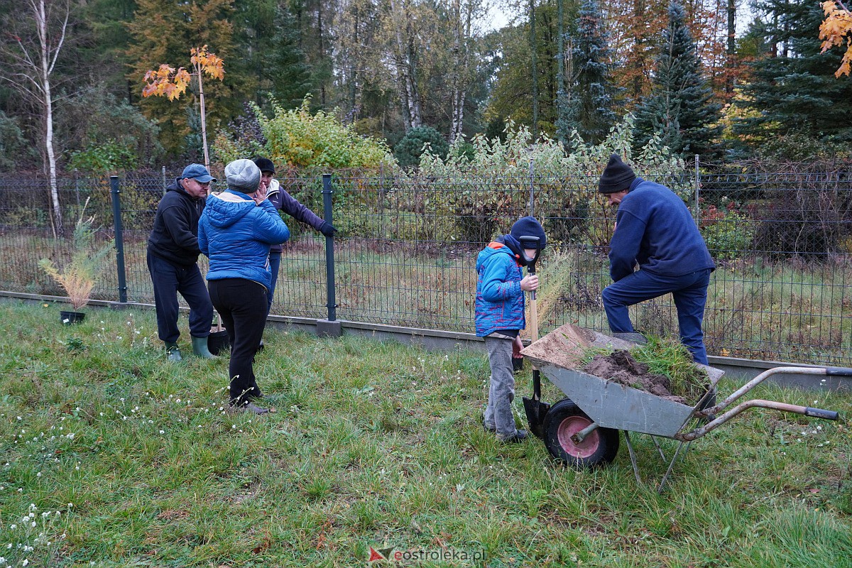 Wspólne sadzenie drzewek i krzewów w Szkwie [21.10.2023] - zdjęcie #7 - eOstroleka.pl