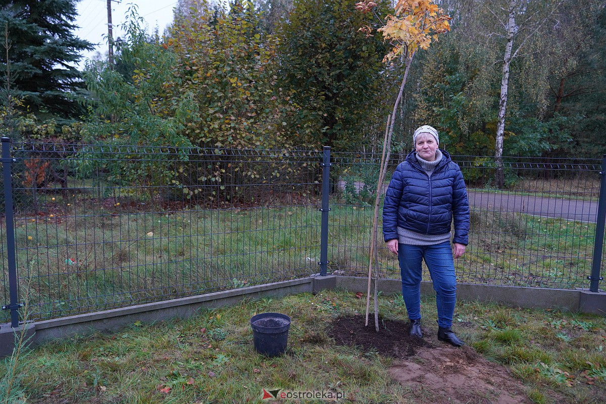 Wspólne sadzenie drzewek i krzewów w Szkwie [21.10.2023] - zdjęcie #5 - eOstroleka.pl
