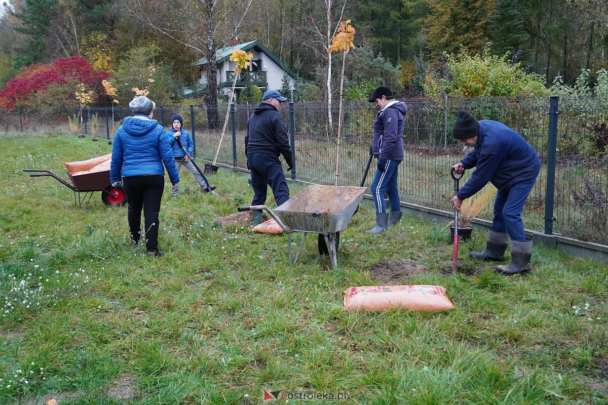 Wspólne sadzenie drzewek i krzewów w Szkwie [21.10.2023] - zdjęcie #1 - eOstroleka.pl