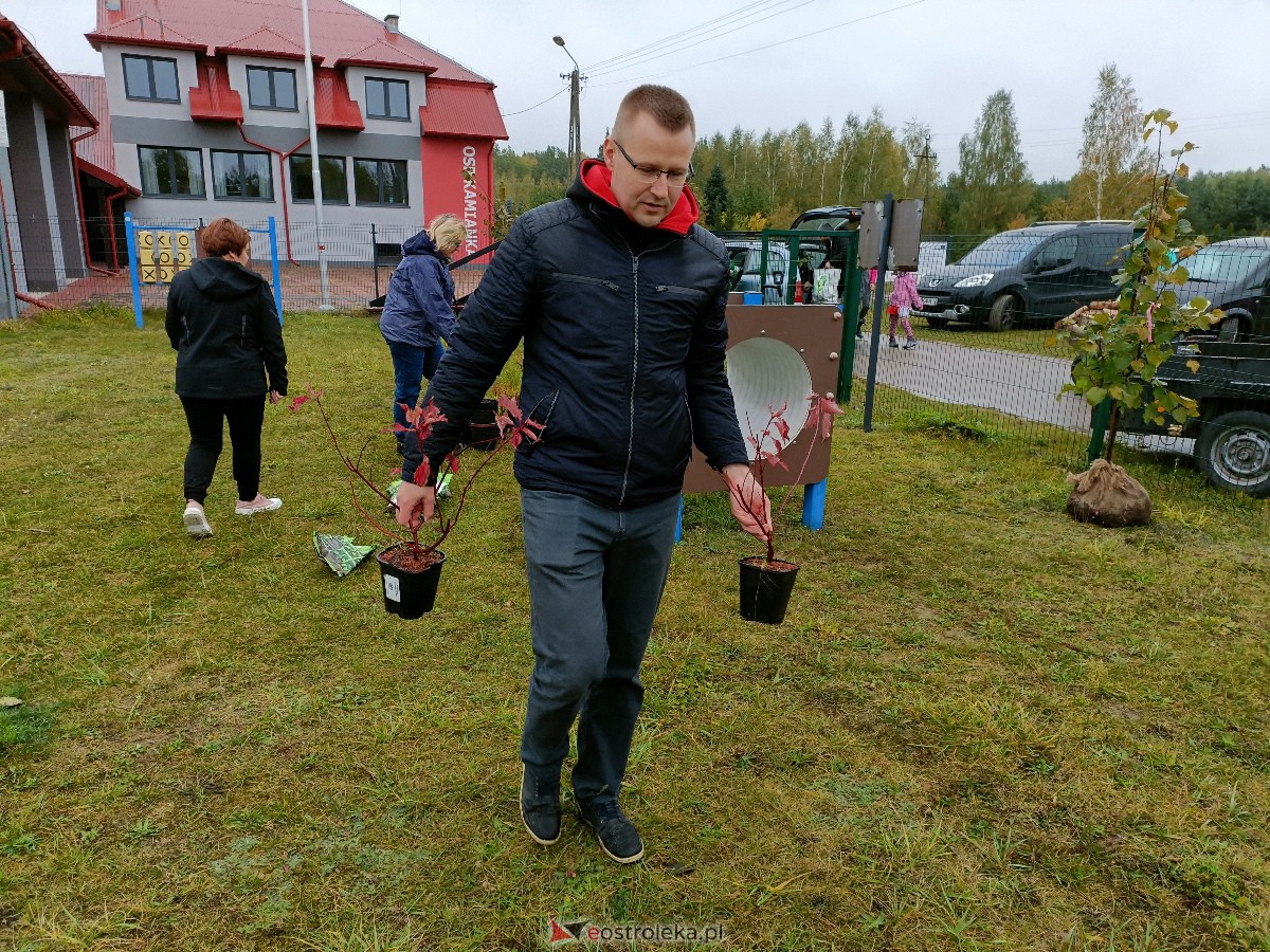 Zielenimy plac zabaw w Kamiance [21.10.2023] - zdjęcie #57 - eOstroleka.pl