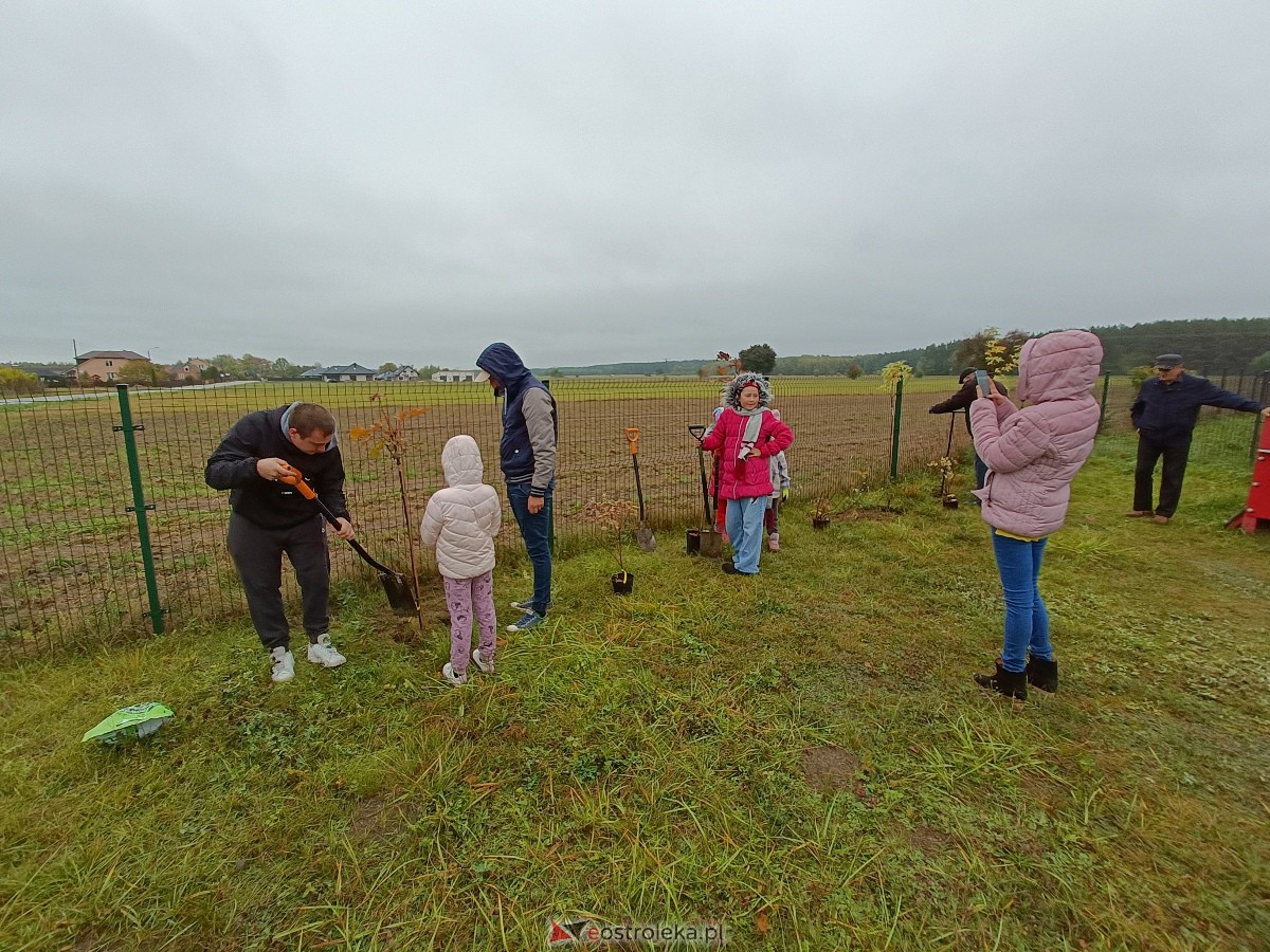 Zielenimy plac zabaw w Kamiance [21.10.2023] - zdjęcie #54 - eOstroleka.pl
