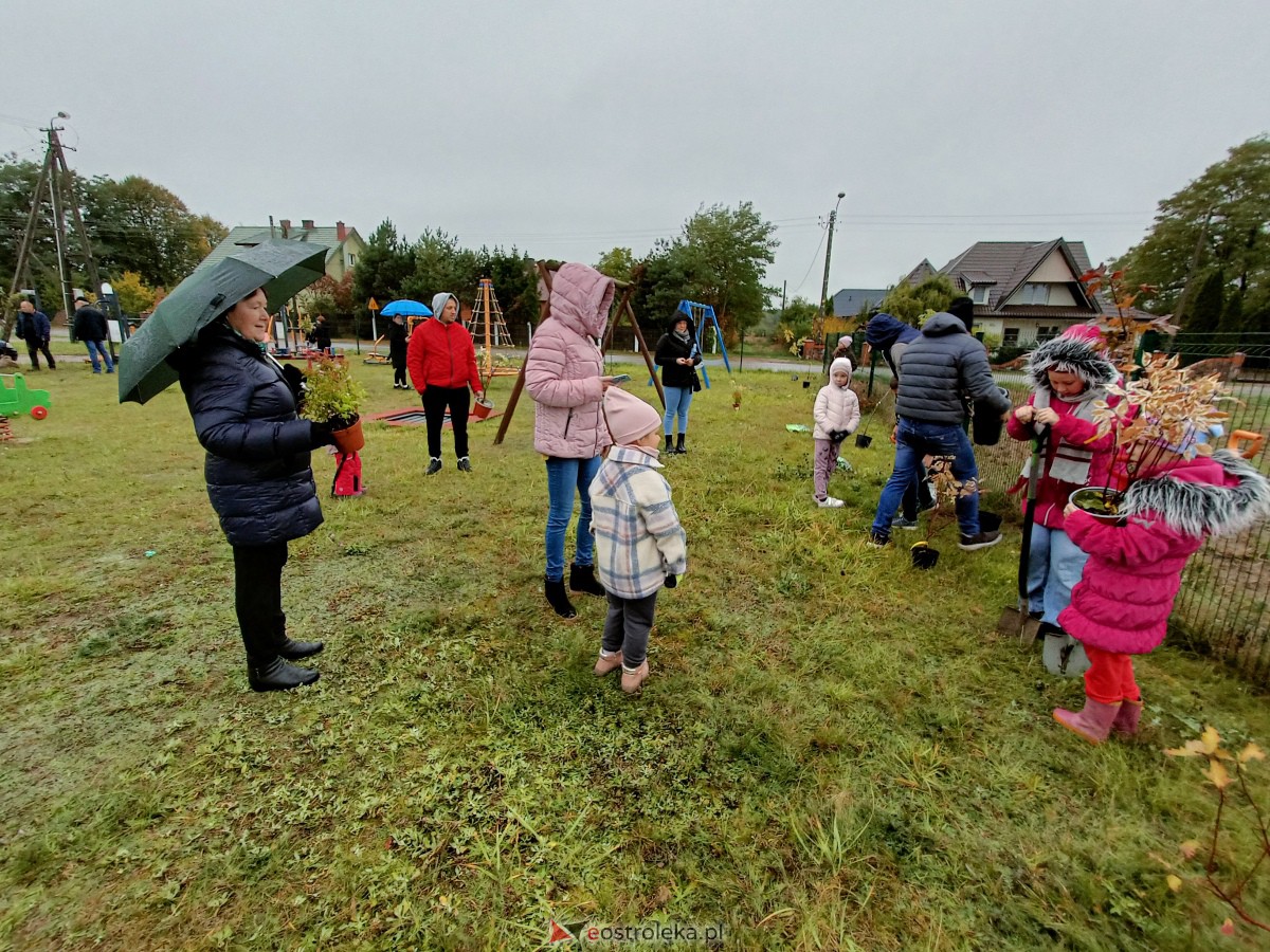 Zielenimy plac zabaw w Kamiance [21.10.2023] - zdjęcie #51 - eOstroleka.pl