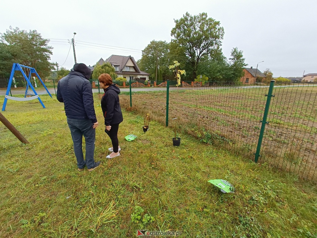 Zielenimy plac zabaw w Kamiance [21.10.2023] - zdjęcie #38 - eOstroleka.pl