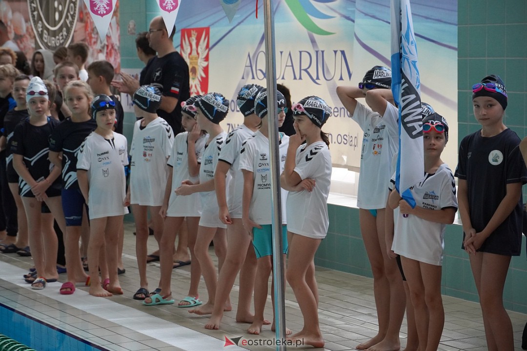 XII Otwarte Mistrzostwa Ostrołęki w Pływaniu [28.10.2023] - zdjęcie #25 - eOstroleka.pl