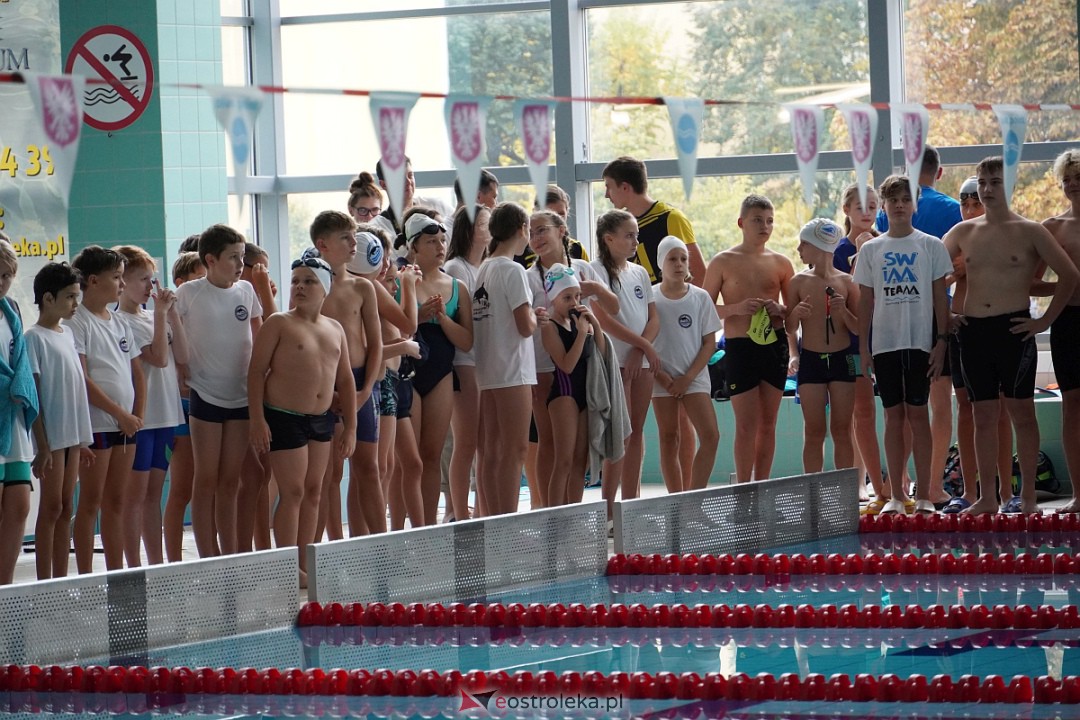 XII Otwarte Mistrzostwa Ostrołęki w Pływaniu [28.10.2023] - zdjęcie #42 - eOstroleka.pl