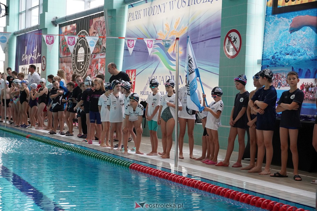 XII Otwarte Mistrzostwa Ostrołęki w Pływaniu [28.10.2023] - zdjęcie #58 - eOstroleka.pl