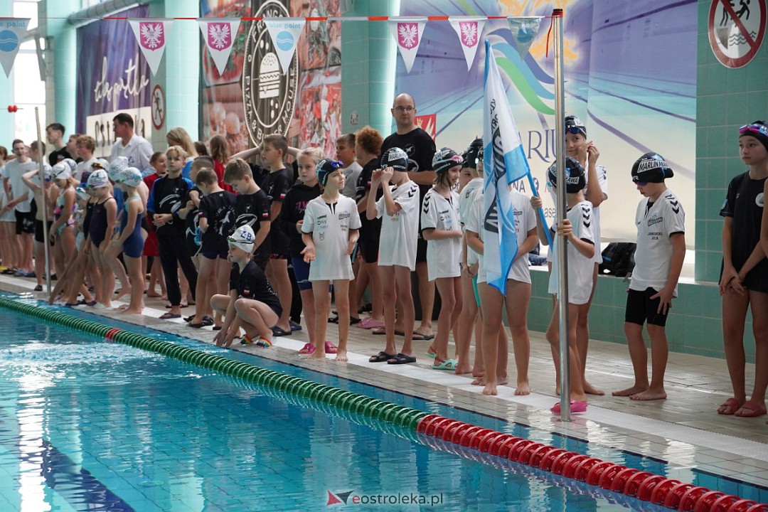 XII Otwarte Mistrzostwa Ostrołęki w Pływaniu [28.10.2023] - zdjęcie #67 - eOstroleka.pl