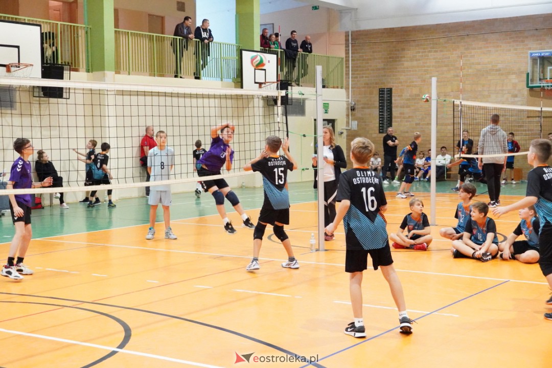 UKS Olimp - Siatkarskie Trójki 2023 [28.10.2023] - zdjęcie #142 - eOstroleka.pl