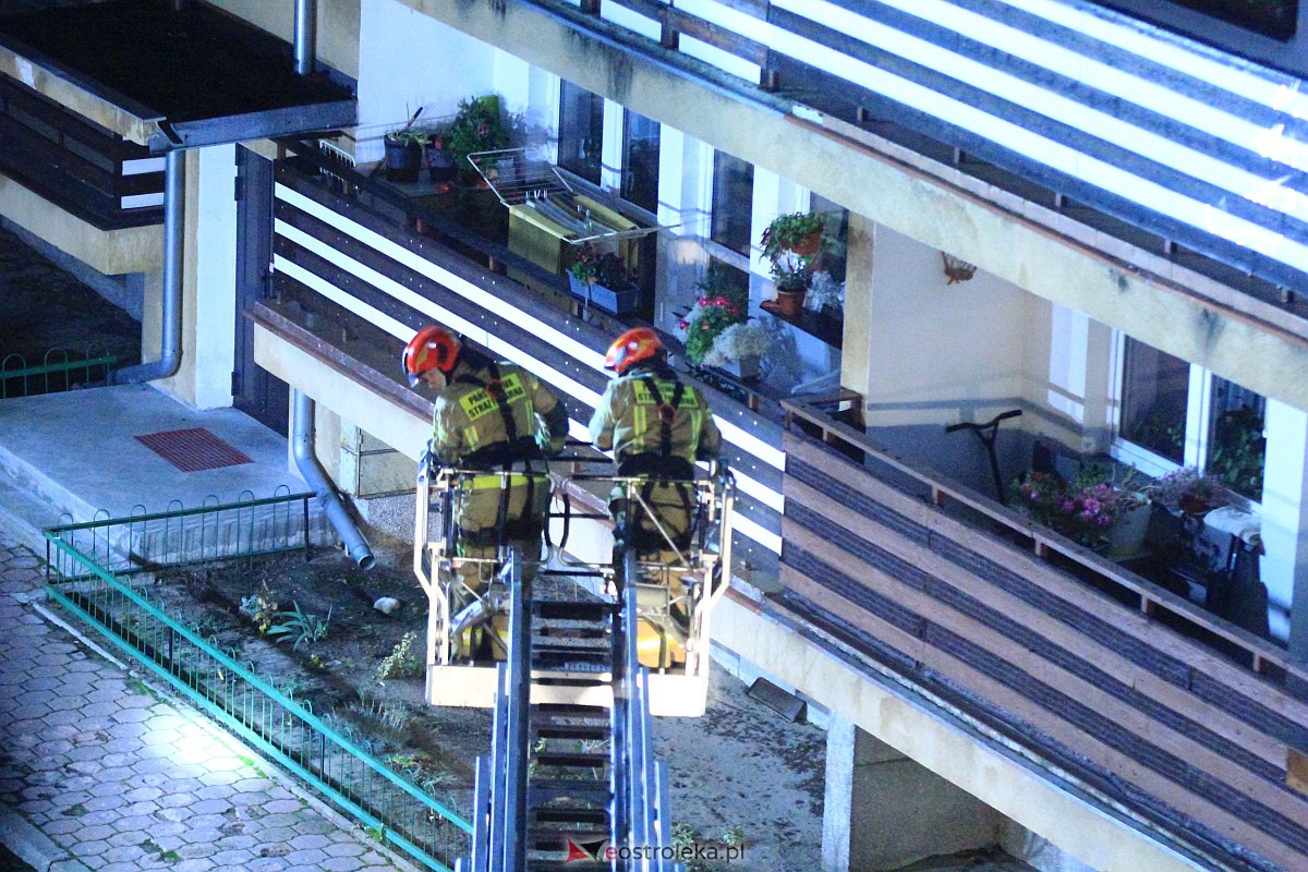 Uparty kot dwa razy zmusił strażaków do akcji [10.11.2023] - zdjęcie #7 - eOstroleka.pl