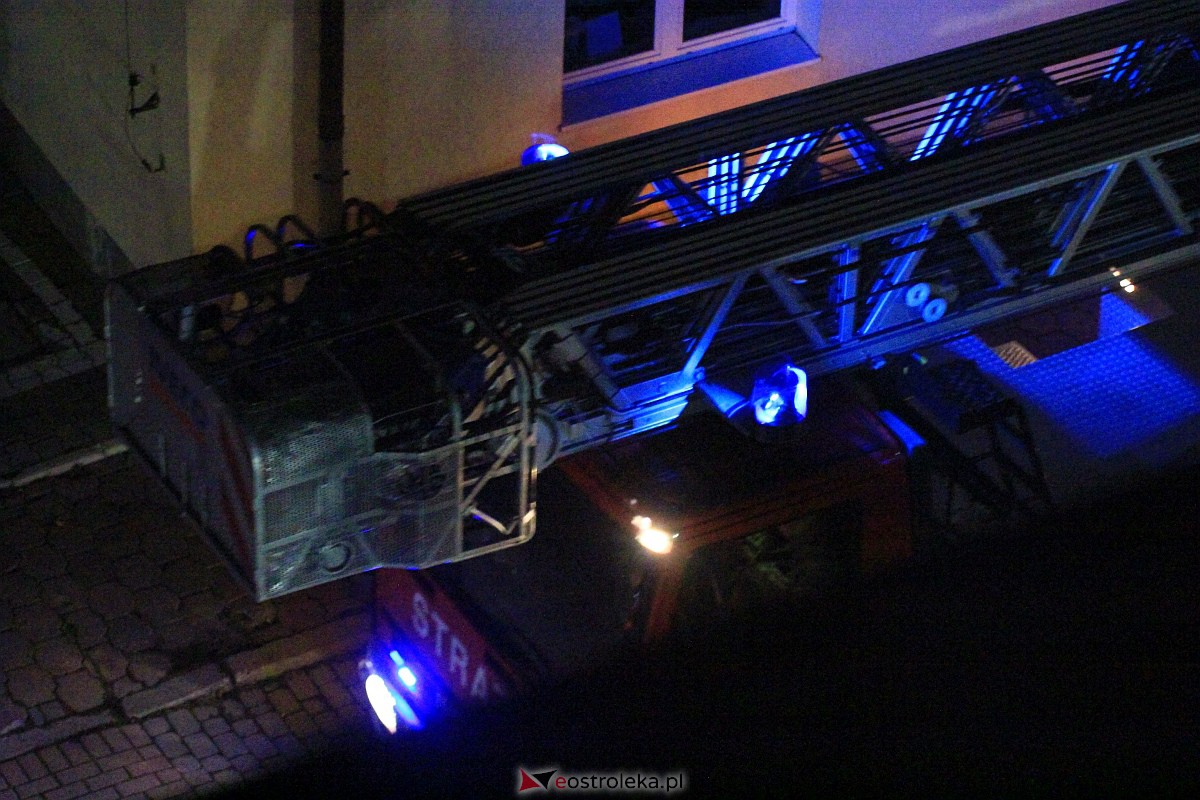 Uparty kot dwa razy zmusił strażaków do akcji [10.11.2023] - zdjęcie #3 - eOstroleka.pl