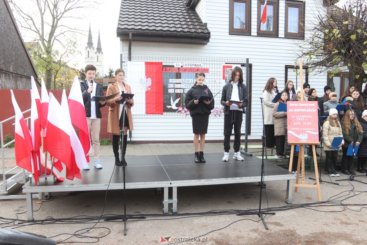 Goworowo dla Niepodległej [10.11.2023] - zdjęcie #44 - eOstroleka.pl